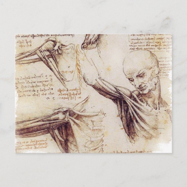 Cartão Postal da Vinci -- Esboço do ombro (Frente)