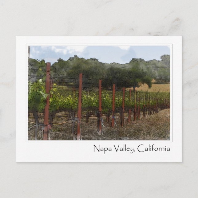 Cartão postal da vinha do Vale de Napa, Califórnia (Frente)