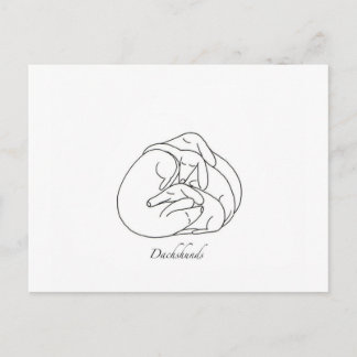 Cartão Postal Dachshances 'Curled Junted'.jpg