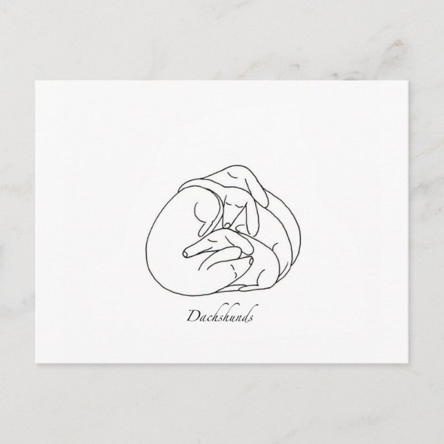 Cartão Postal Dachshances 'Curled Junted'.jpg (Frente)