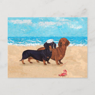 Cartão Postal Dachshances na praia