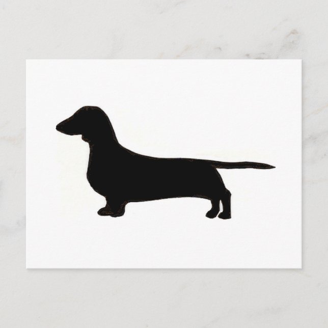 Cartão Postal dachshund (Frente)