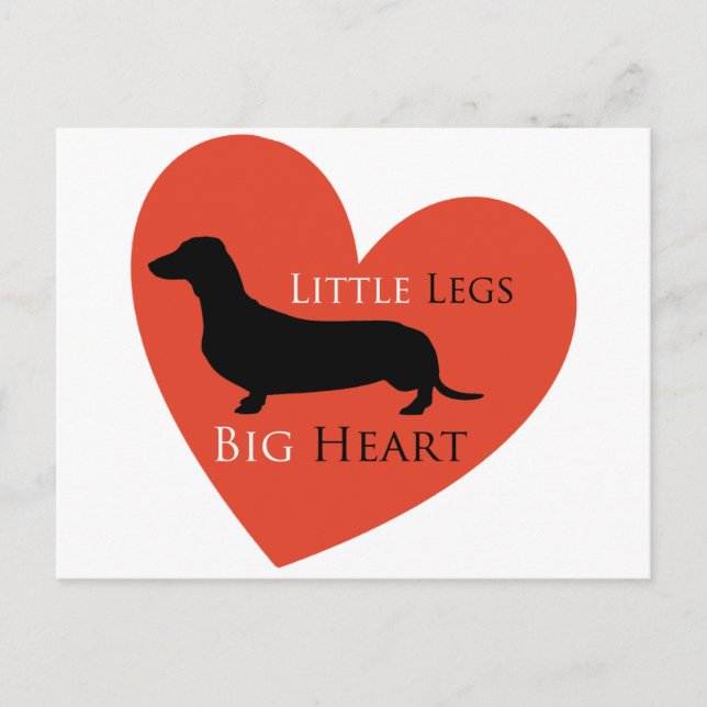 Cartão Postal Dachshund (Frente)