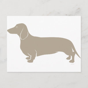 Cartão Postal Dachshund