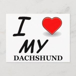 Cartão Postal dachshund