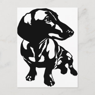 Cartão Postal Dachshund