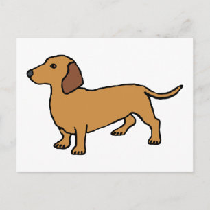 Cartão Postal Dachshund