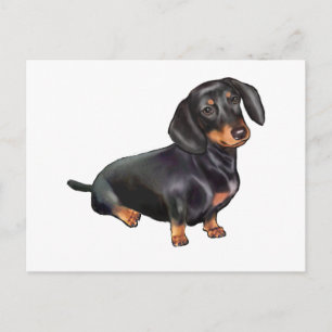 Cartão Postal Dachshund (A) - Preto e bronzeado