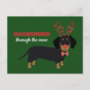 Cartão Postal Dachshund Através De Cão-De-Boca-Neve