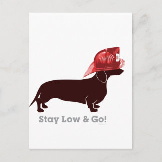 Cartão Postal Dachshund Bombeiro "Mantenha-se Baixo"