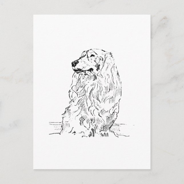 Cartão Postal Dachshund – Cachorro Salsicha de Pelo Longo (Frente)