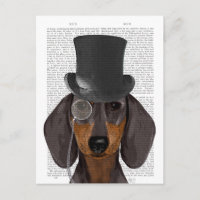 Dachshund, Chapéu Formal e Chapéu
