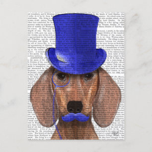 Cartão Postal Dachshund com Chapéu Azul e bigode Azul
