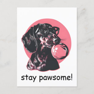 Cartão Postal Dachshund com óculos e pastilha elástica personali