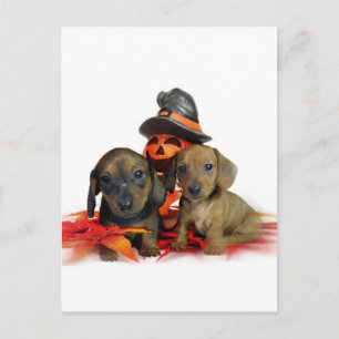 Cartão Postal Dachshund de Halloween