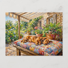 Cartão Postal Dachshund descansando em um banco de jardim de ret