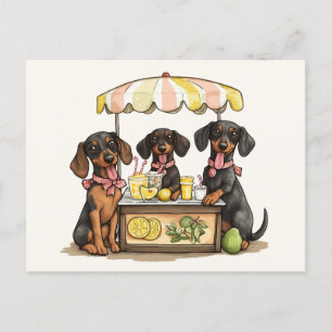 Cartão Postal Dachshund Dogs Lemonade Stand