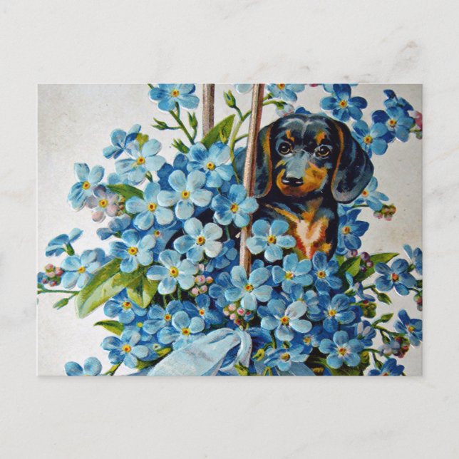 Cartão Postal Dachshund e Forget-Me-Nots (Frente)