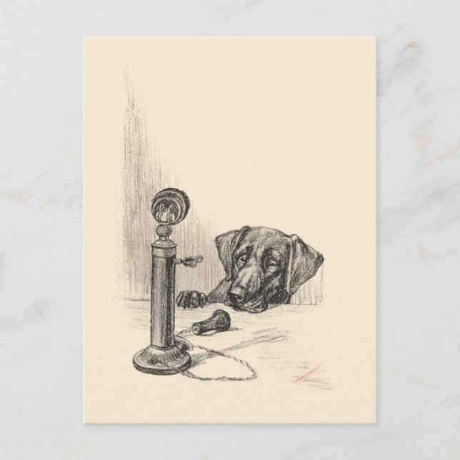 Cartão Postal Dachshund e Vintage Phone (Frente)