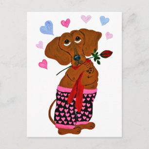 Cartão Postal Dachshund Em Bairros De Coração Rosa