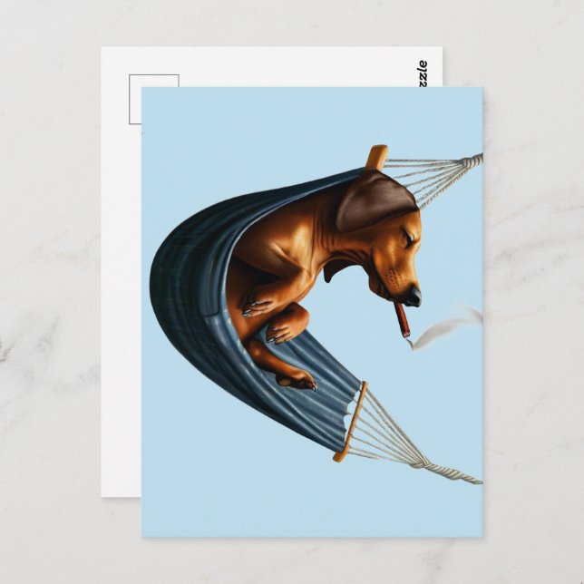 Cartão Postal Dachshund em Hammock (Frente/Verso)