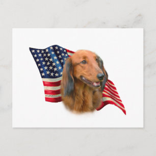 Cartão Postal Dachshund Flag
