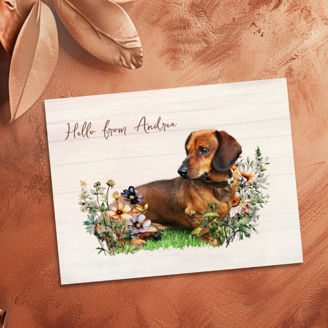 Cartão Postal Dachshund in Wildflowers Hello From Postcard (Criador carregado)