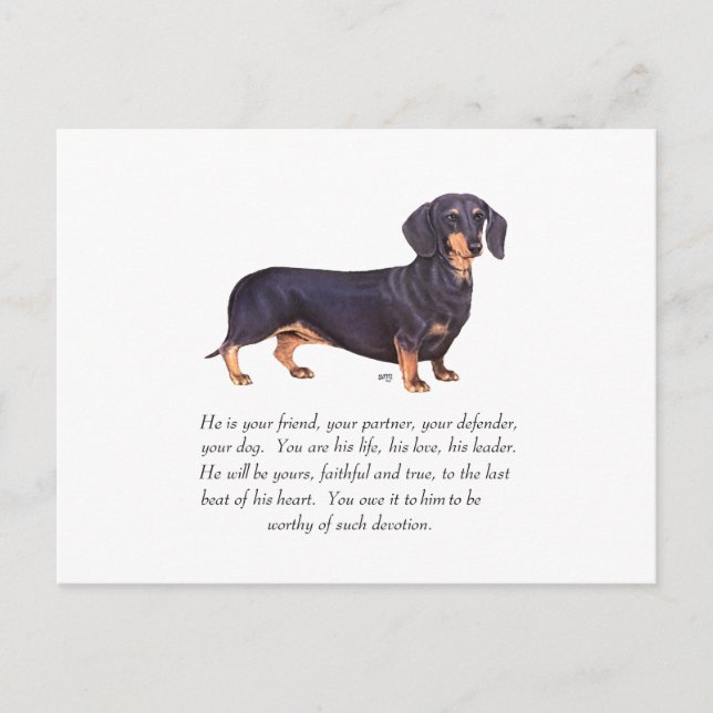Cartão Postal Dachshund Keepsasak - Homem (Frente)