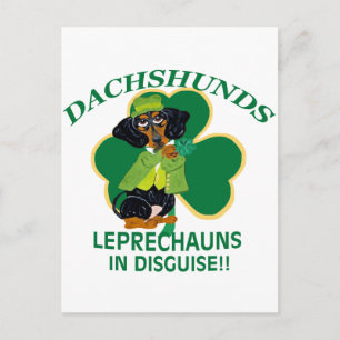 CARTÃO POSTAL DACHSHUND LEPRECHAUN