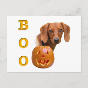 Cartão Postal Dachshund (liso) Boo