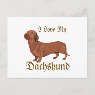 Cartão Postal Dachshund Love