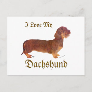 Cartão Postal Dachshund Love