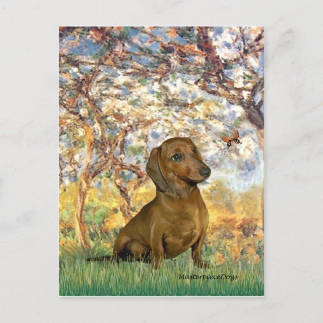 Cartão Postal Dachshund (marrom1) - Primavera (Frente)