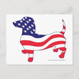 Cartão Postal Dachshund na bandeira americana