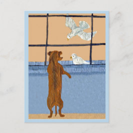 Cartão Postal Dachshund na Janela observando Pombas Brancas