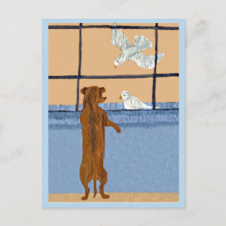 Cartão Postal Dachshund na Janela observando Pombas Brancas