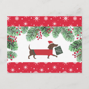 Cartão Postal Dachshund Natal Cachorro Fofo Flocos de Neve Azevi