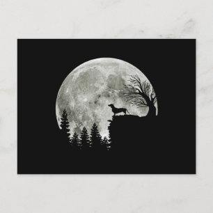 Cartão Postal Dachshund No Halloween Do Luar Da Montanha