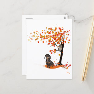 Cartão Postal Dachshund Owl E Fall Tree Dachshund Lover Outono
