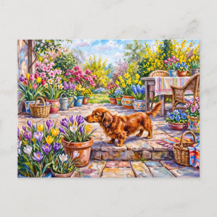 Cartão Postal Dachshund passeando por uma primavera colorida e f