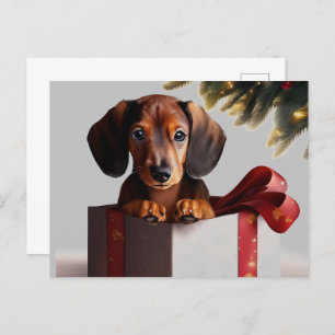 Cartão Postal Dachshund Puppy Surpresa de Natal