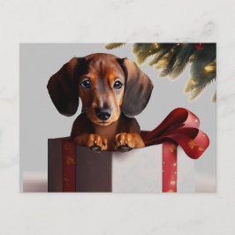 Cartão Postal Dachshund Puppy Surpresa de Natal