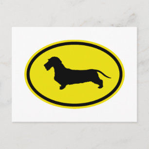 Cartão Postal Dachshund Wirehaired