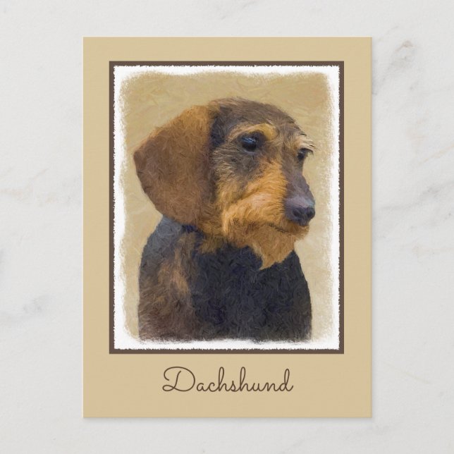 Cartão Postal Dachshund (Wirehaired) Pintura Original para Cacho (Frente)