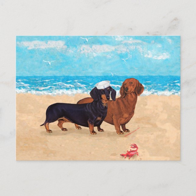 Cartão Postal Dachshunds na Praia (Frente)