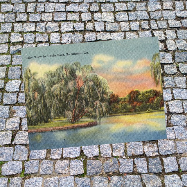 Cartão Postal Daffin Park Lake View Savannah GA retro (Criador carregado)