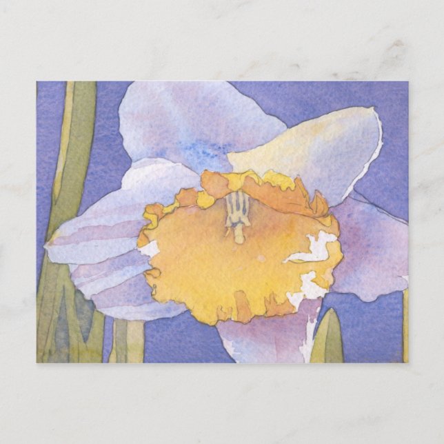 Cartão Postal Daffodil 2003 (Frente)