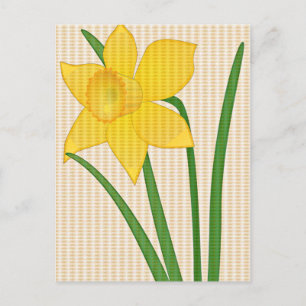 Cartão Postal Daffodil Springtime design de flores amarelas