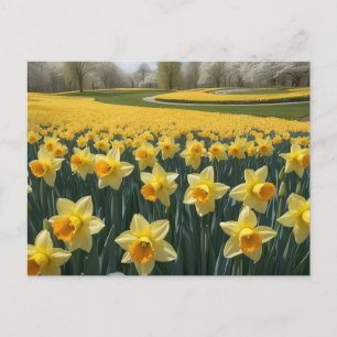 Cartão postal Daffodils