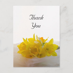Cartão Postal Daffodils Amarelos no Casamento da primavera Branc